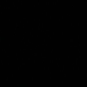 Meet your Posher, Samuel